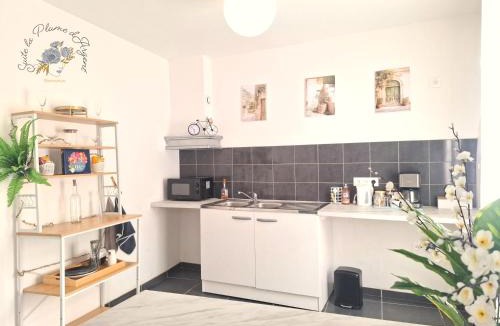 Bedarieux Hotel | Suite la Plume d'Argent