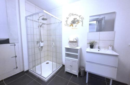 Bedarieux Hotel | Suite la Plume d'Argent