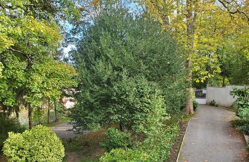 Aubin Bed & Breakfast | Suite-Luxury-Private Bathroom-Park view
