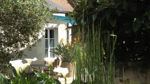 Luzille Bed & Breakfast | Suite Luzilloise
