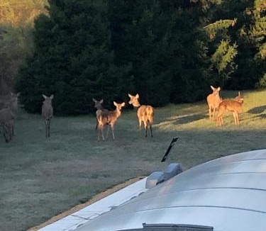 Clere-les-Pins Bed & Breakfast | SUITE ROMANTIQUe