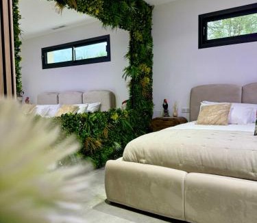 Les Mages Bed & Breakfast | Suite Romantique Reve d Amazonie option espace Spa complet en supplément