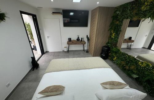 Les Mages Bed & Breakfast | Suite Romantique Reve d Amazonie option espace Spa complet en supplément