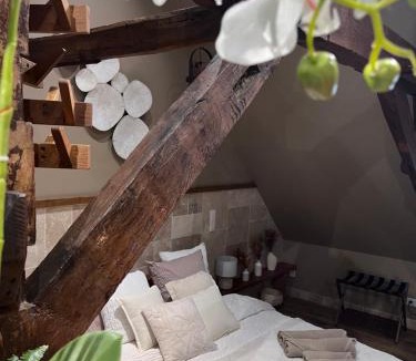 Saint-Omer Hotel | Suite Zen détente et balneo