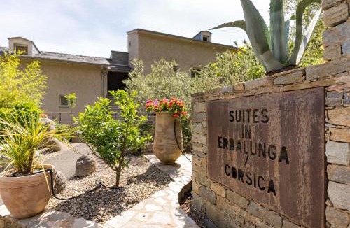 Erbalunga Apartment | Suites in Erbalunga