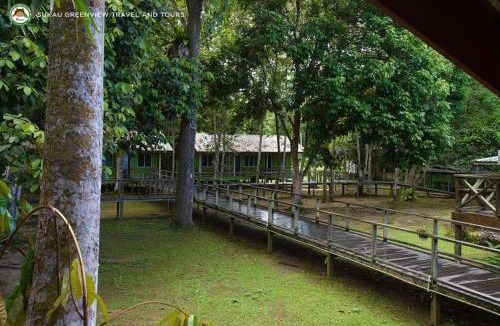 Sukau Bed & Breakfast | Sukau Greenview Lodge