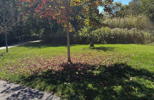 Courtice House | Suki’s home stay