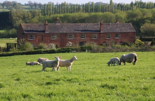 Sulgrave Bed & Breakfast | Sulgrave Farm