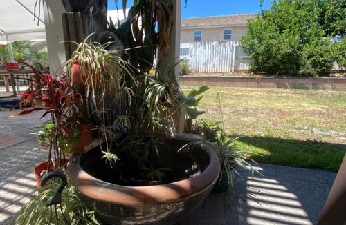 Chino House | summer cool house