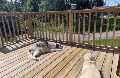 Sydney House | Summer/Fall vacation rental