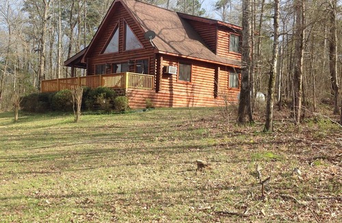 Amity Cabin | Summer is here! Come stay with us 🏞🚣‍♀️🚣‍♂️🌞