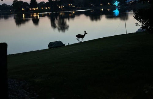 Troy House | Summer Lake House MI