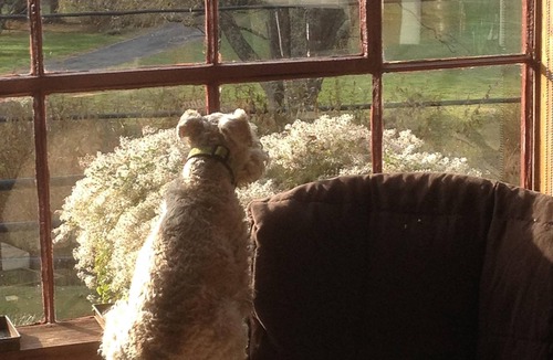 Mount Tremper Cottage | summer time available