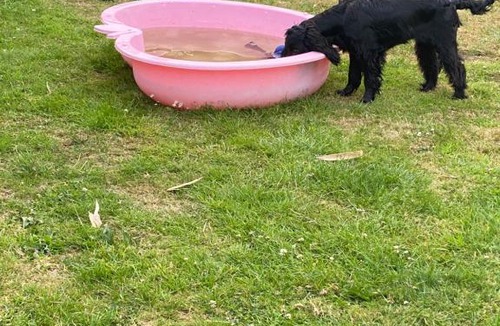 Horton Other | Summerfields Lodge