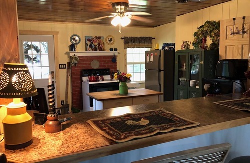 Sevierville Cottage | Summertime at Creek! Birds, ducks, close to Pigeon Forge