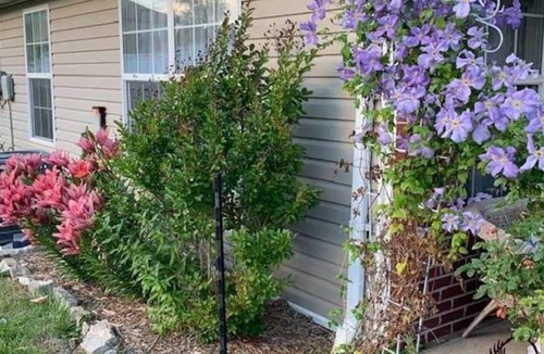 Holts Summit House | Summit House