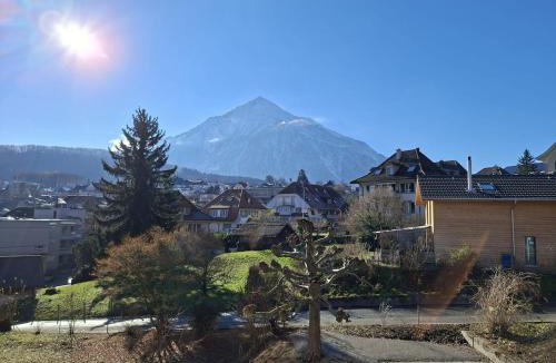 Spiez Apartment | Summit View Apartment
