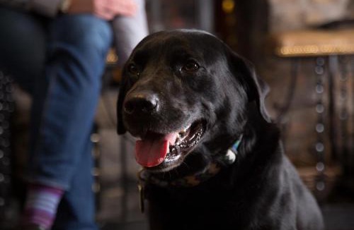 Kirkby Lonsdale Hotel | Sun Inn