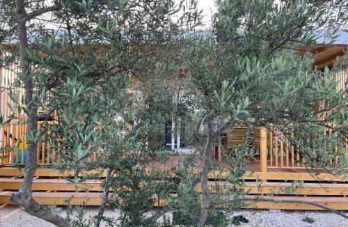 Betina Resort | SUN&MOON