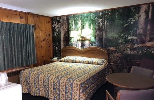 Cadillac Hotel | Sun 'N Snow Hotel