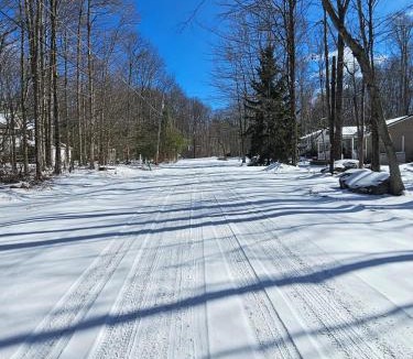 Thornhurst Ski Chalet | Sun-Soaked, Fun & Spacious - Heated Pool - Parking