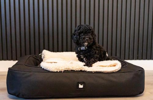 Morecambe Apartment | Sunbeam House 1 Morecambe Pet Friendly