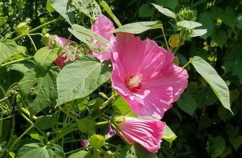 Kerhonkson House | SUNDOWN BB