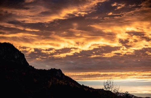 Serdinya Apartment | Sundrenched Relais de Poste in Serdinya