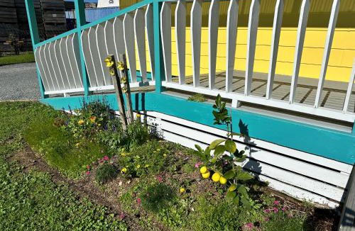 Dargaville House | Sunflower Cottage