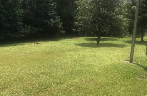 Dallas House | Sunflower Walk