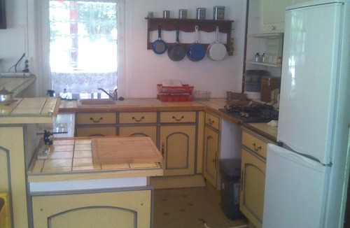 Ormes House | Sunflowers in burgundy