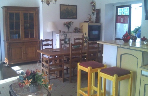 Ormes House | Sunflowers in burgundy