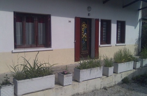 Ormes House | Sunflowers in burgundy