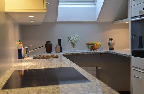 Pfaffikon District Apartment | Sunnebad Sternenberg by Interhome