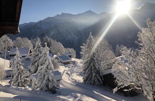 Braunwald Apartment | Sunnehuesli
