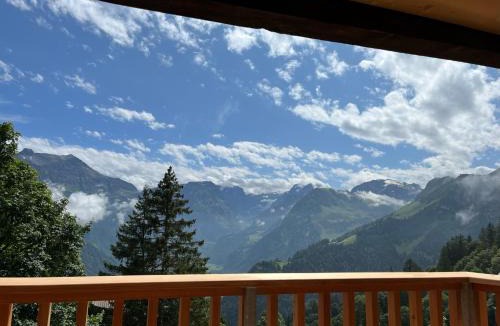 Braunwald Apartment | Sunnehuesli