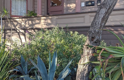 Upper Telegraph Apartment | Sunny 1BR in Gorgeous Berkeley Victorian