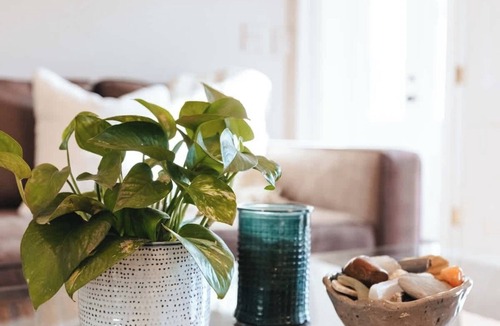 Off Broadway Apartment | Sunny 2BR/1BA with Front Porch & Parking