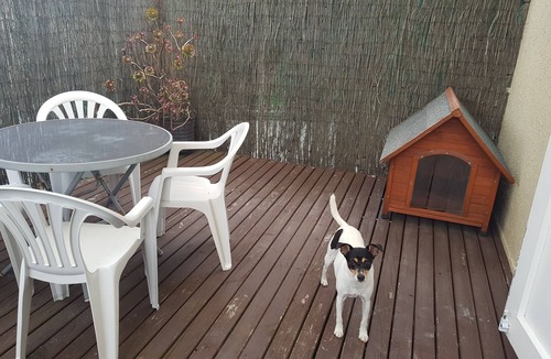 Napier Condo | Sunny - downstairs - Beach Flat