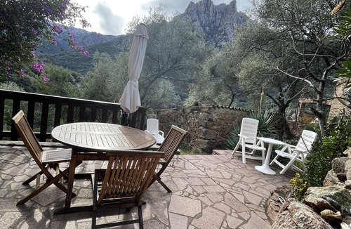 Porto Apartment | sunny green setting