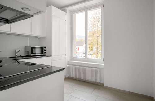 Horgen District Apartment | Sunny Horgen 2.5 Room w/Storage, 3 min to Market, by Blueground