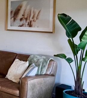 Fitzroy House | Sunny in Fitzroy