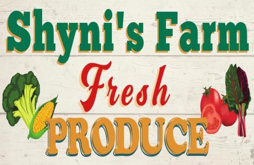 Anacortes Apartment | Sunny Island Cliff Side Views