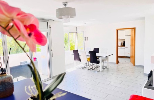 Brissago Apartment | Sunny Modern Apartment Lake View Relax