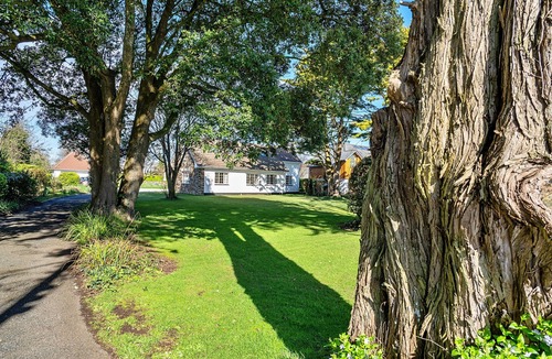 Rock Ski Chalet | Sunny Nook