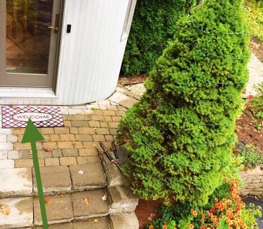 Harwinton Bed & Breakfast | Sunny Peace B&B