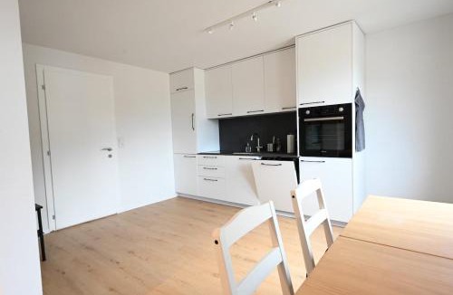 Frutigen Apartment | Sunny Renovated Alpine Apartment by Interlaken