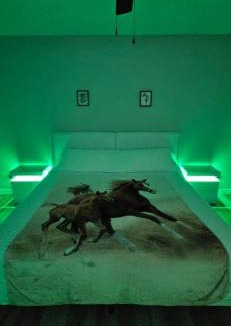 Silver Springs Shores House | Sunny Seascapes