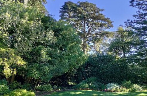 Central Richmond Apartment | Sunny SF home, quiet, convenient w/parking