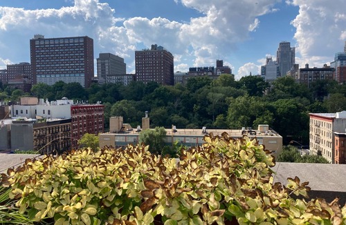 Central Park North Apartment | Sunny, Spacious 2 Bedroom - 24hr Doorman Apartment - in South Harlem
